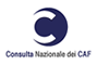 Logo Consulta CAF